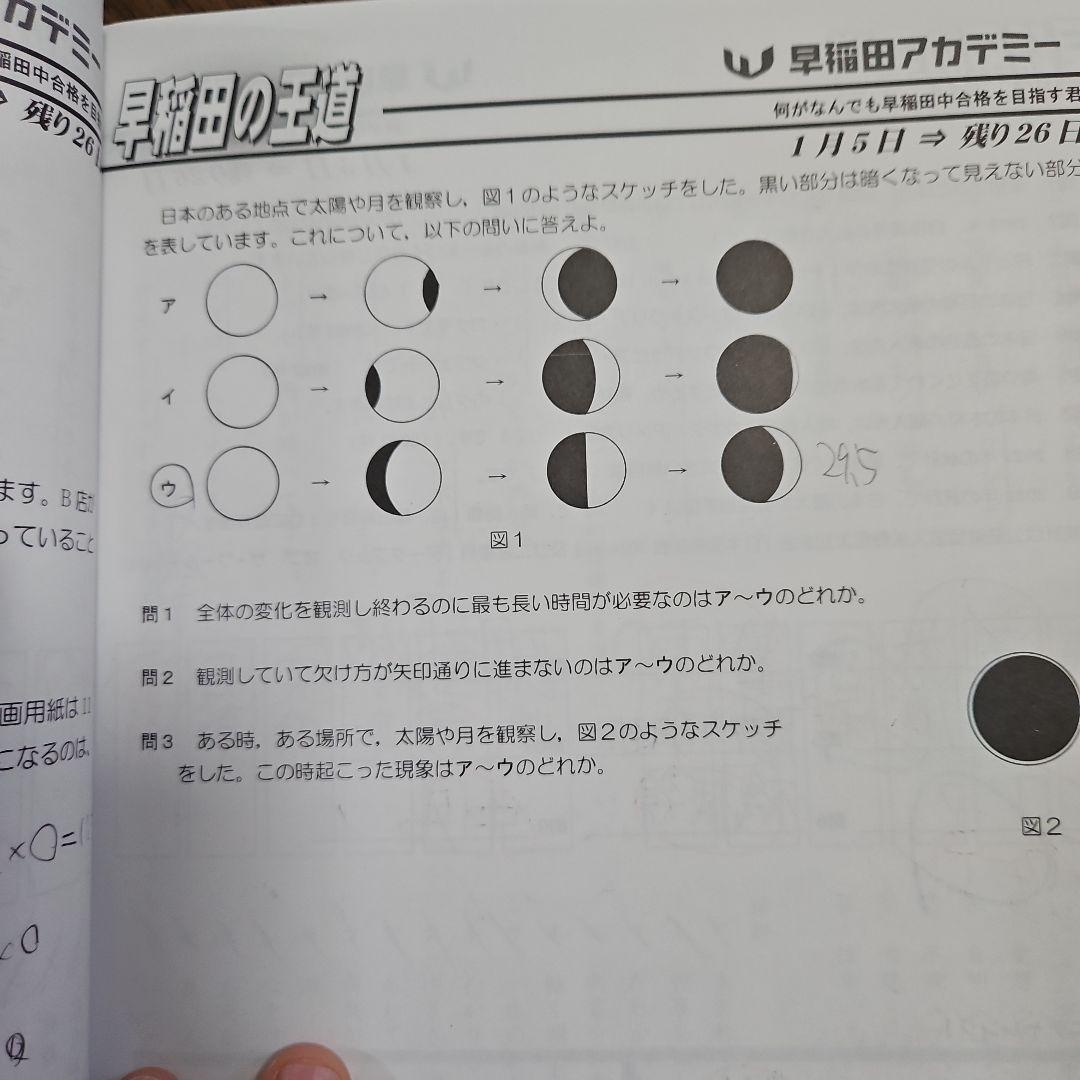 NN　早稲田の王道2024～2025