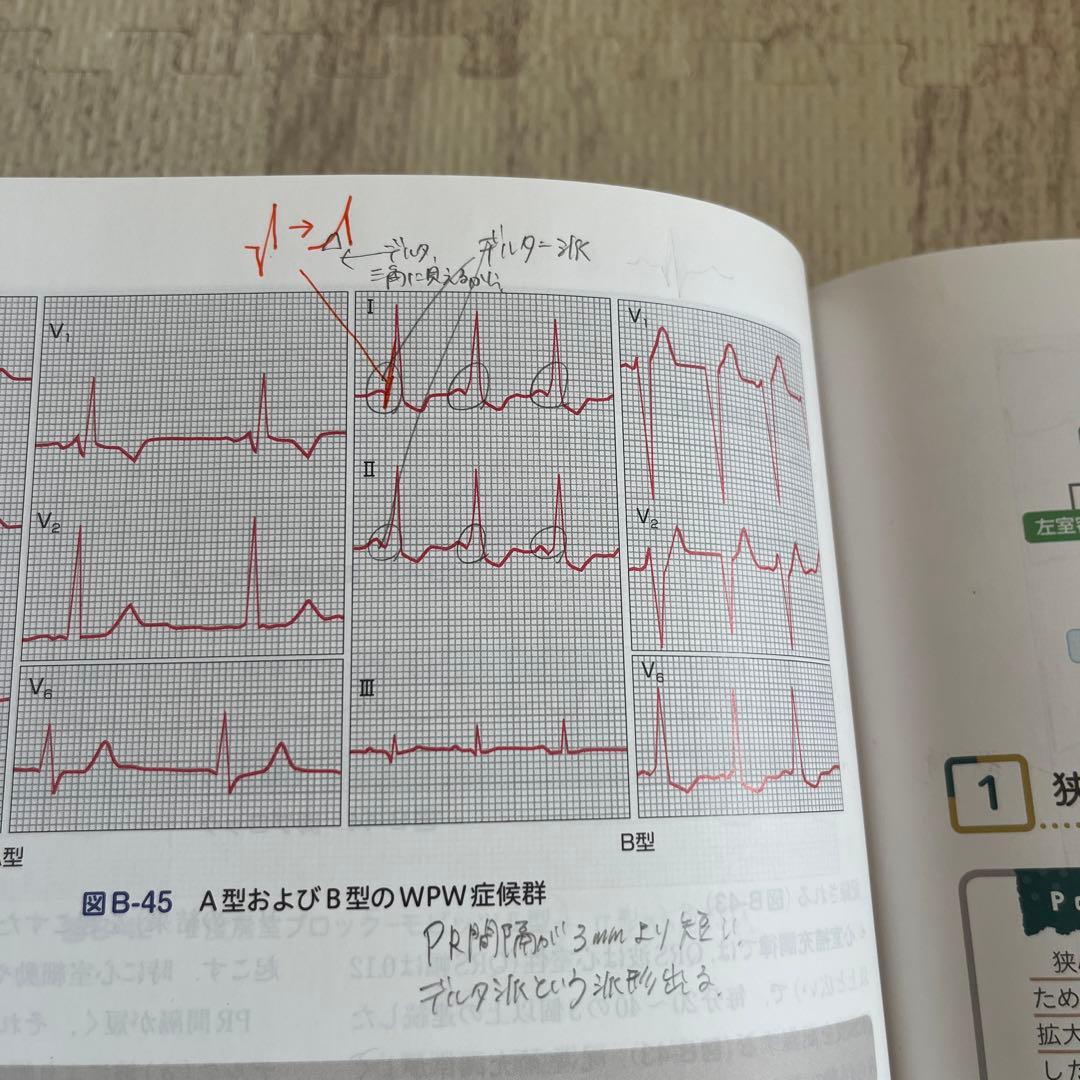 看護のための臨床病態学　第4版
