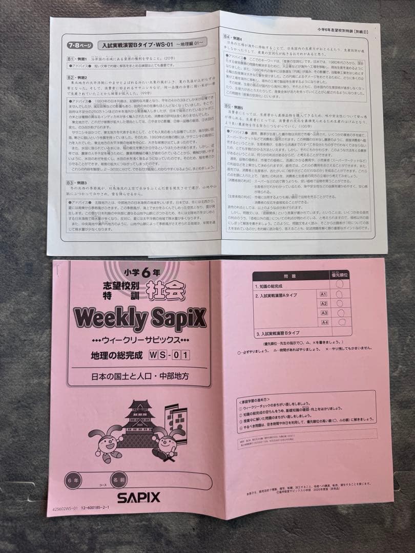 user_d5547334 ⭐︎最新版フルセット③ SAPIXサピックス6年