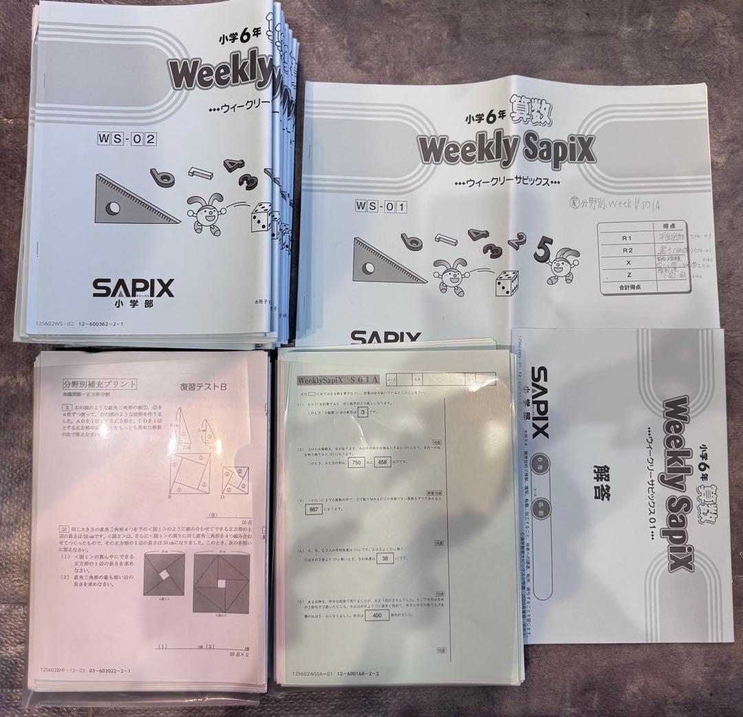 user_d5547334 ⭐︎最新版フルセット③ SAPIXサピックス6年
