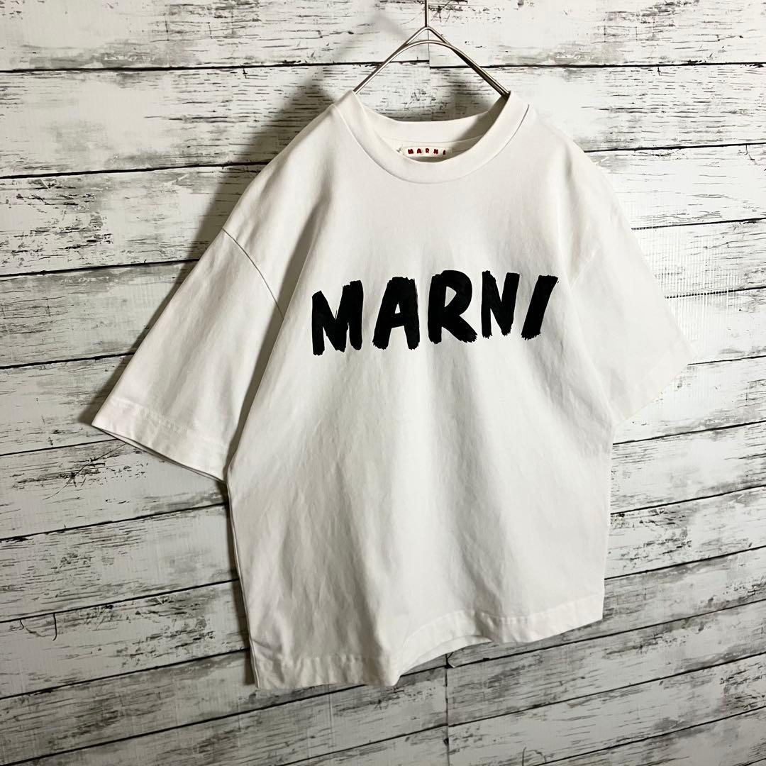 MARNI センターロゴプリント Tシャツ 肉厚生地 36