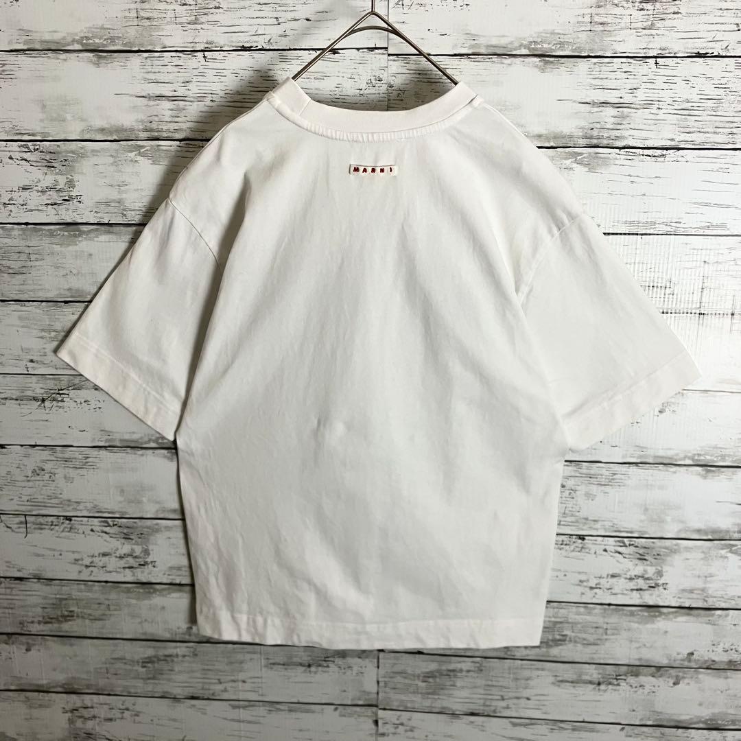MARNI センターロゴプリント Tシャツ 肉厚生地 36