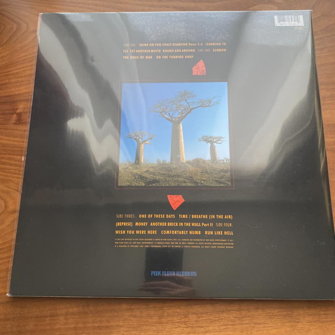 洋楽 2LP Pink Floyd Delicate Sound of Thunder