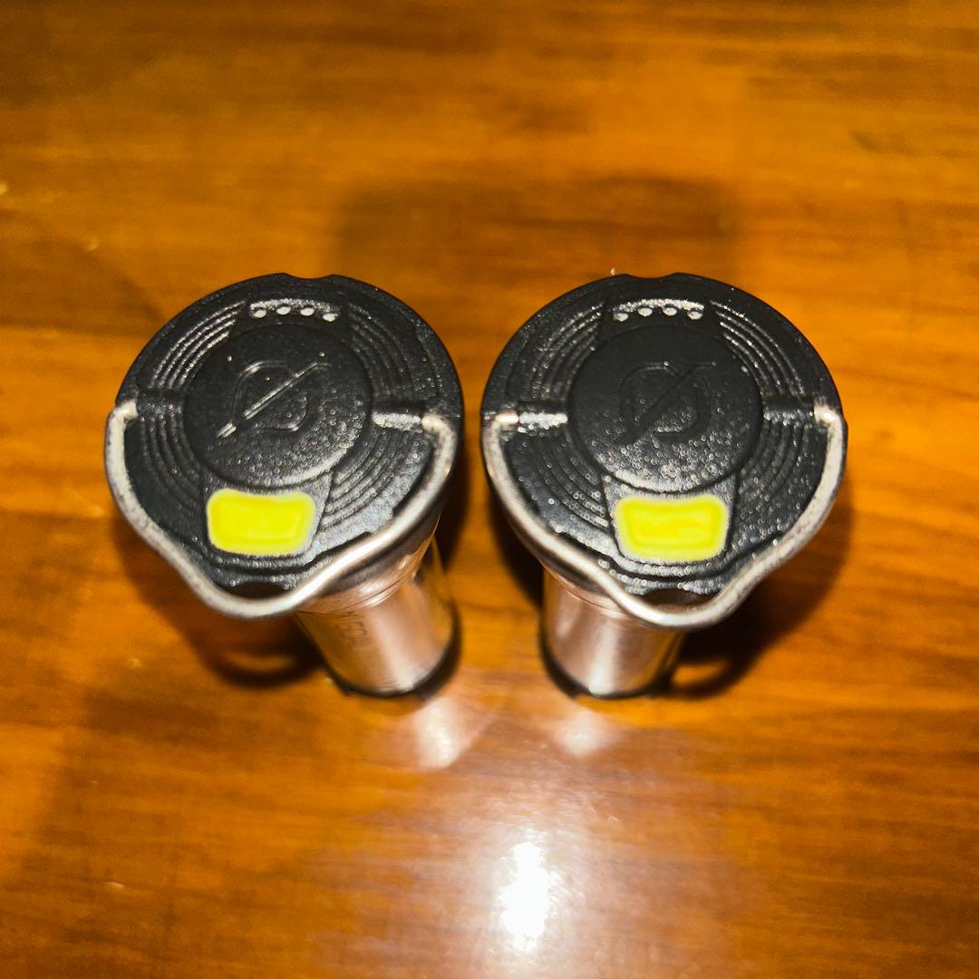 Goal Zero LIGHTHOUSE micro USB充電式 2個セット