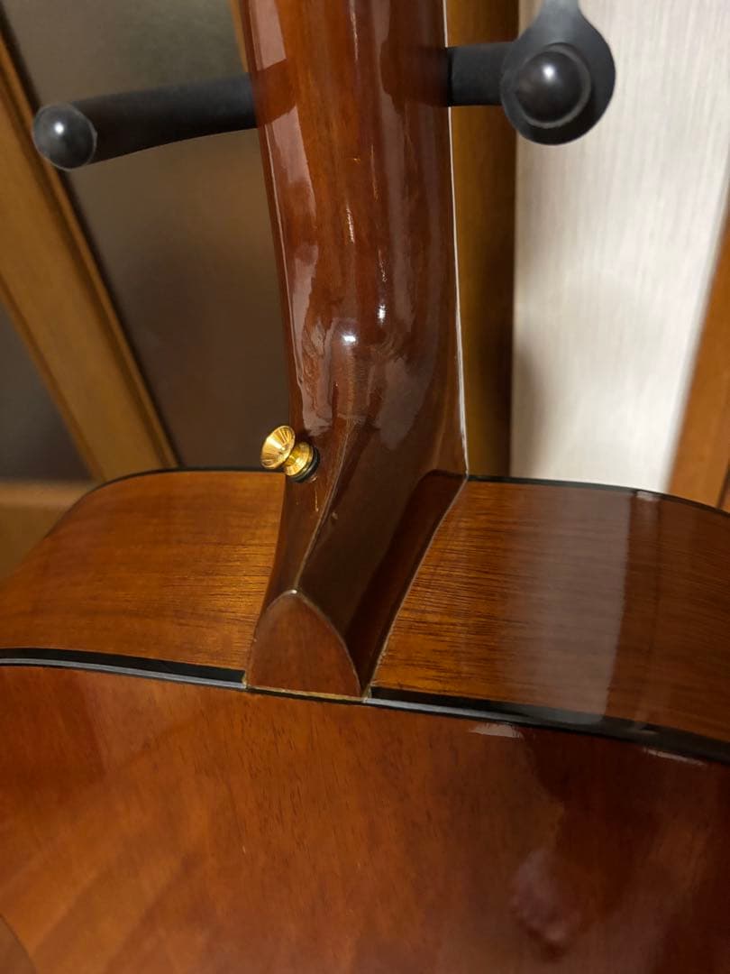 Jeison Standard No.180 美品　 弦高低めで弾きやすい❗️