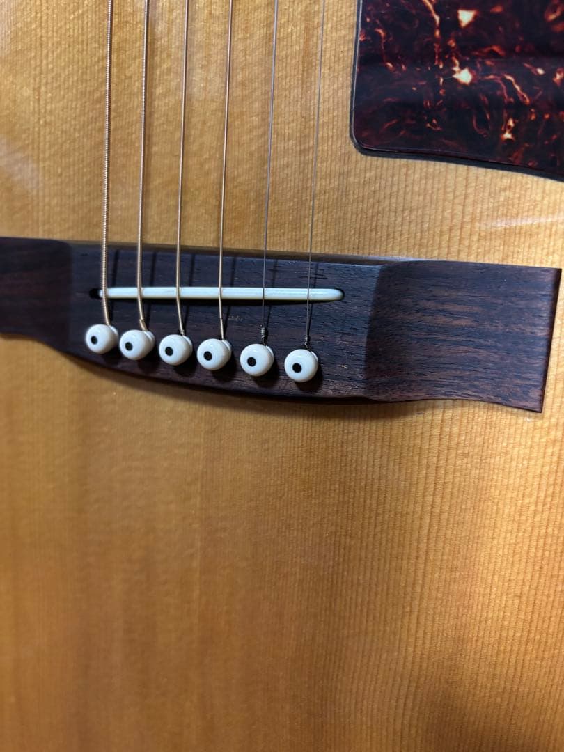 Jeison Standard No.180 美品　 弦高低めで弾きやすい❗️