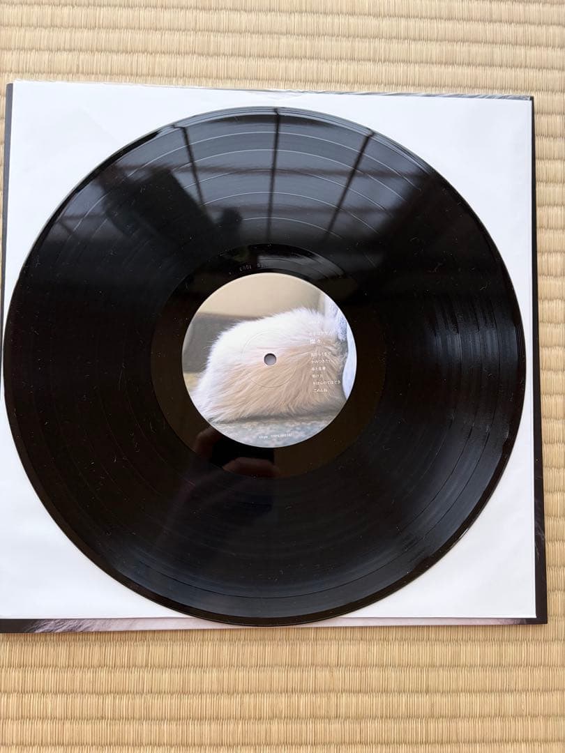 カネコアヤノ　燦々　1stプレス　レコード　おまけ付き