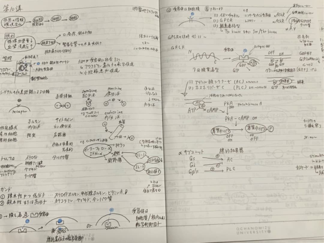 【KALS医学部学士編入2020】模試4回分＋おまけ付き