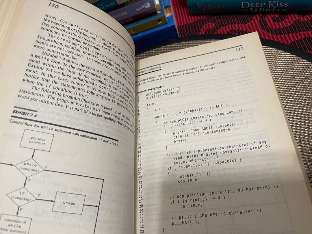 洋書 PROGRAMMING USING THE C LANGUAGE