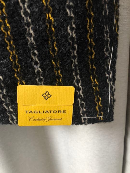 定価10万！【タグ付き新品未使用】TAGLIATORE G-DARREL20K