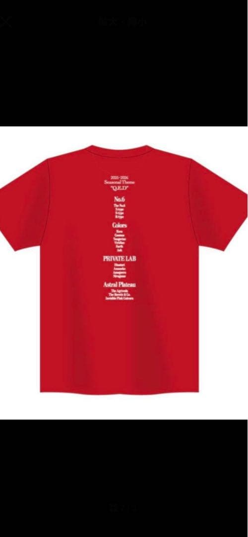 2026年 新政 No.6New year-type Tシャツ　XXLサイズ