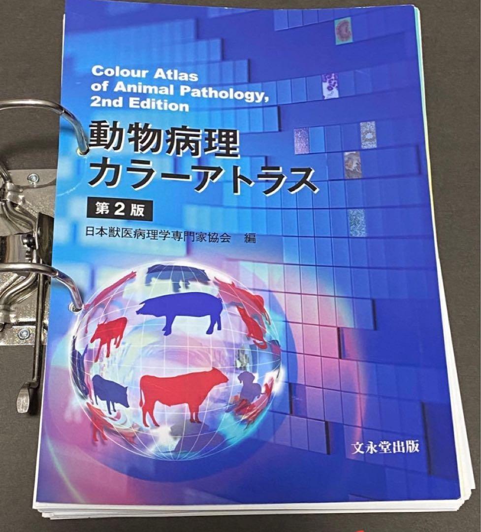 健康・医学 satuki