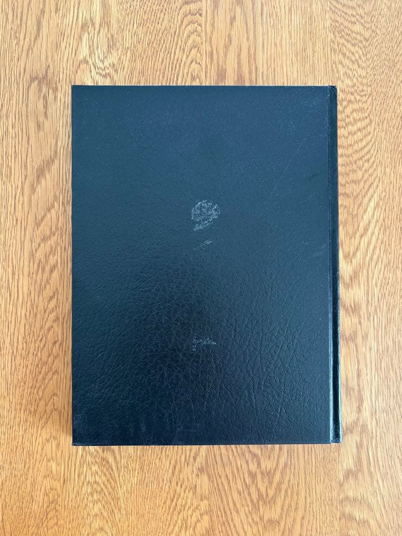 洋書 STRANGE RITUAL DAVID BYRNE