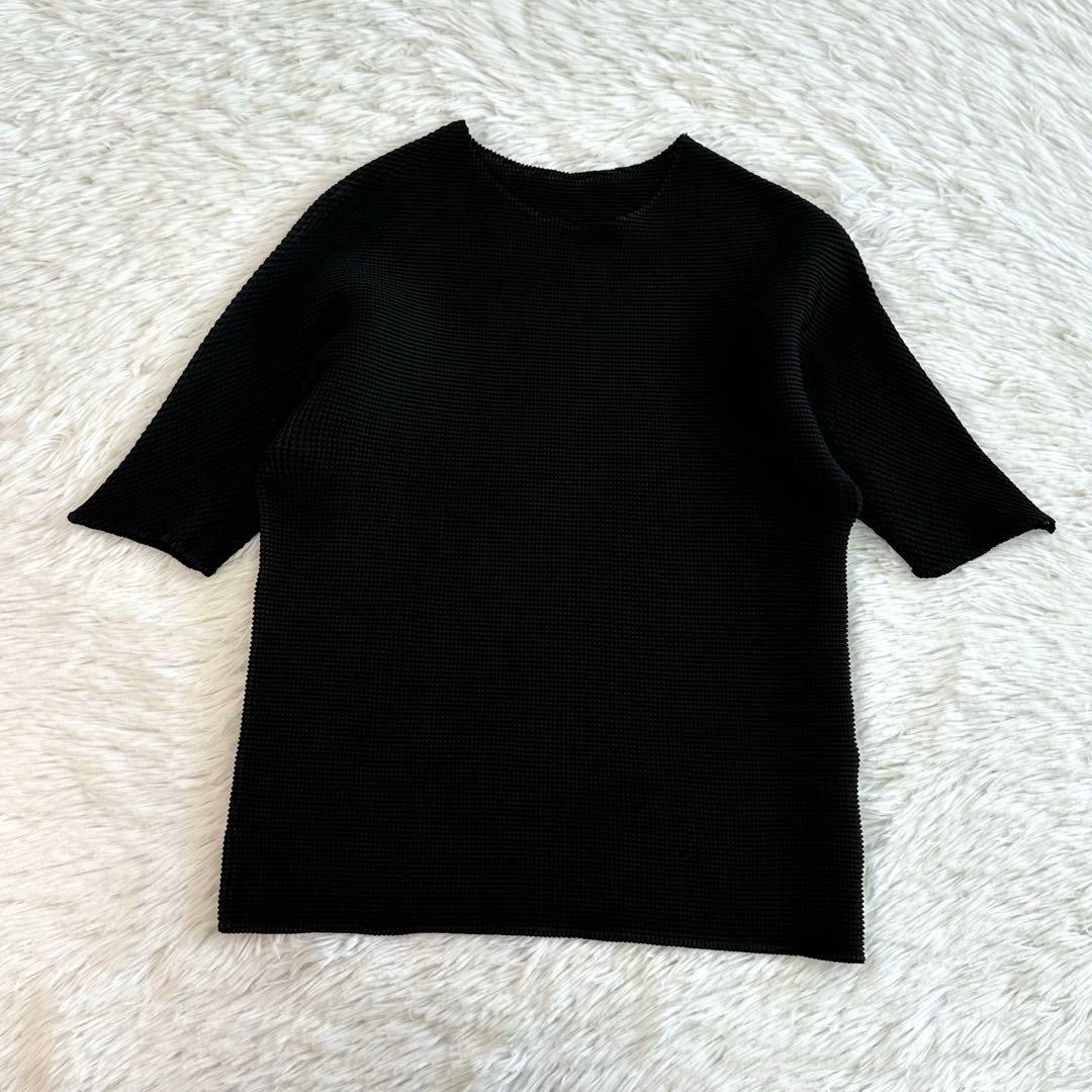 PLEATS PLEASE プリーツプリーズ イッセイミヤケ ワッフルTシャツ