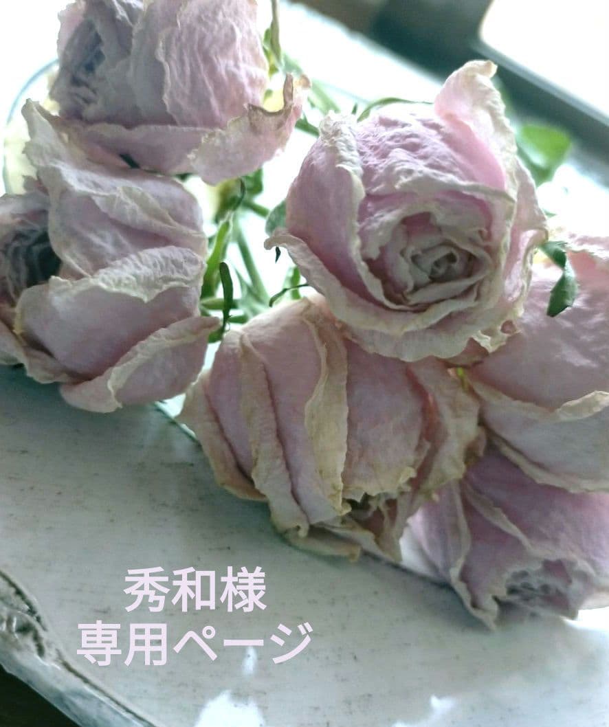♡秀和ページ♡ドライフラワースワッグpink&Red•*¨*•♬♡