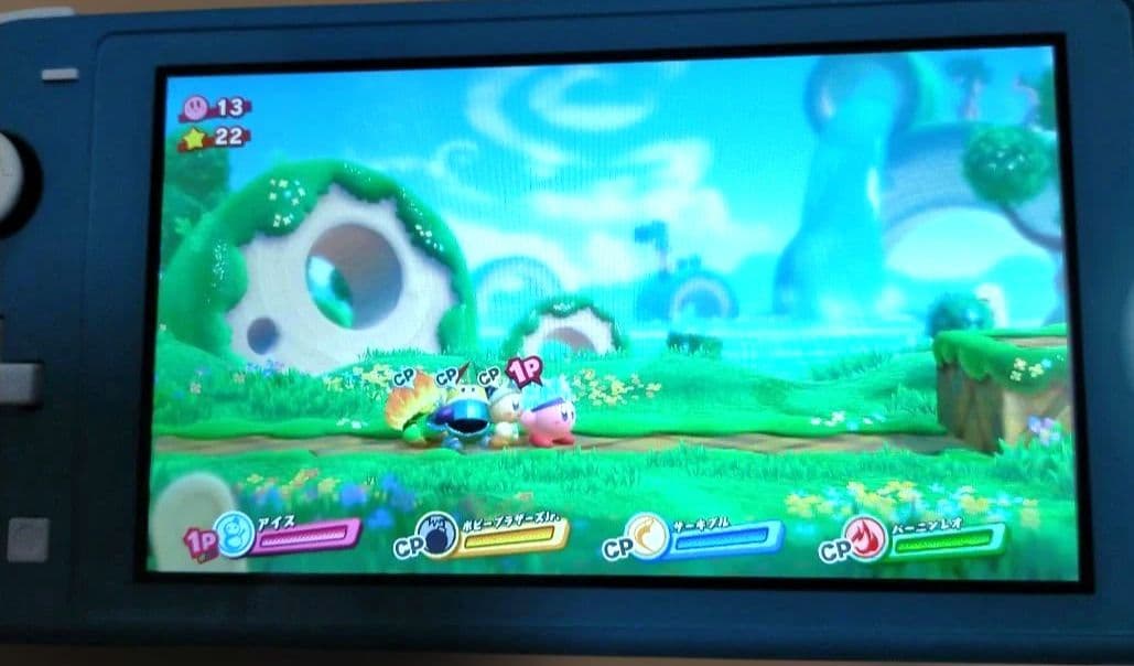 Switch Lite 本体 どうぶつの森 まめきち&つぶきち 動作確認済み！