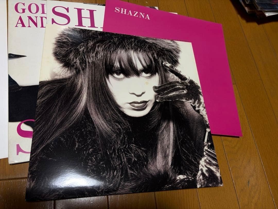 SHAZNA GOLD SUN AND SILVER MOON ピクチャーレコー