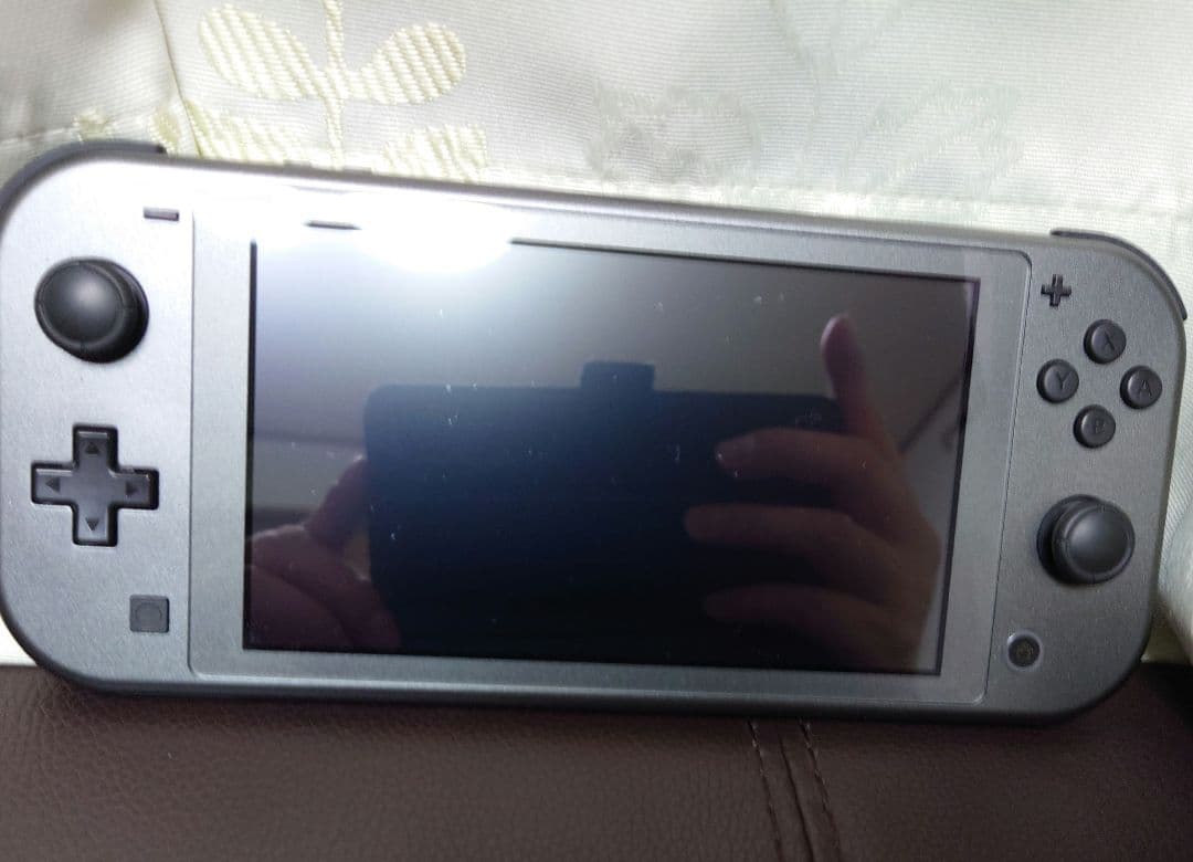 Nintendo Switch Light ディアルガ・パルキア　中古品