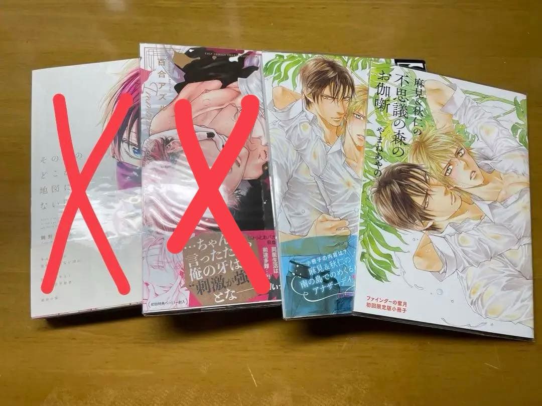 BLまとめ売り25冊＋初版限定小冊子❗️(だかいち、ヤリ部等)