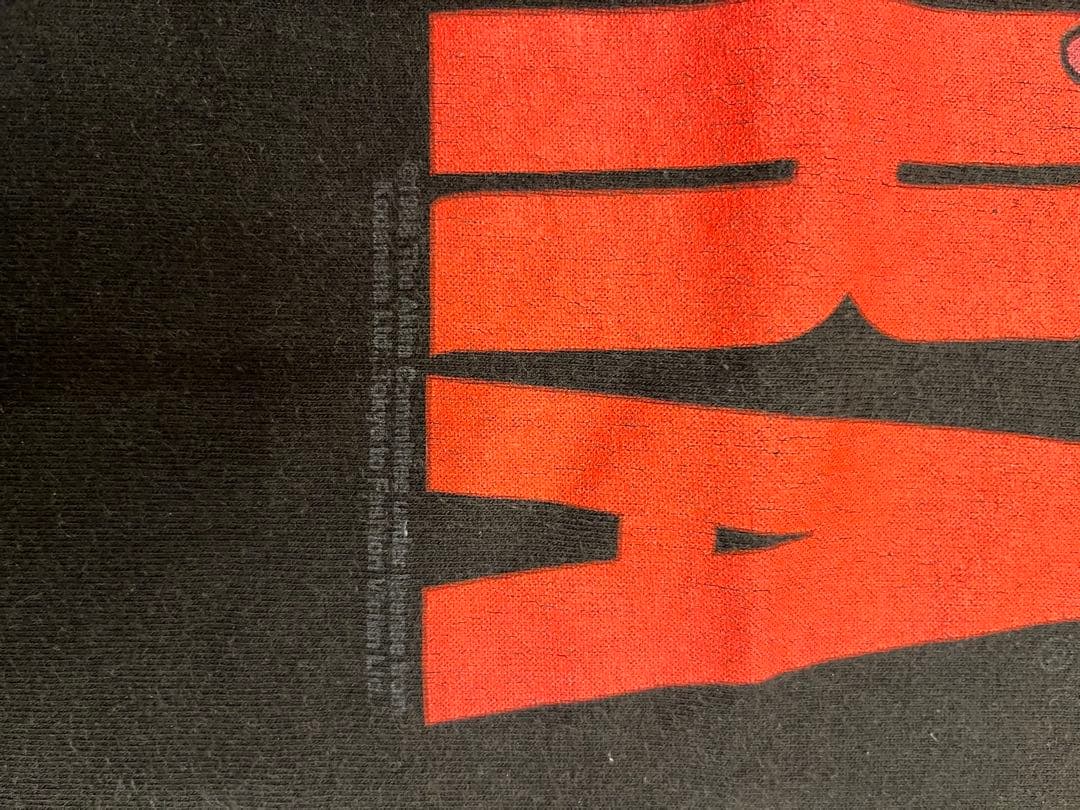 AKIRA Tシャツ フルーツオブザルーム