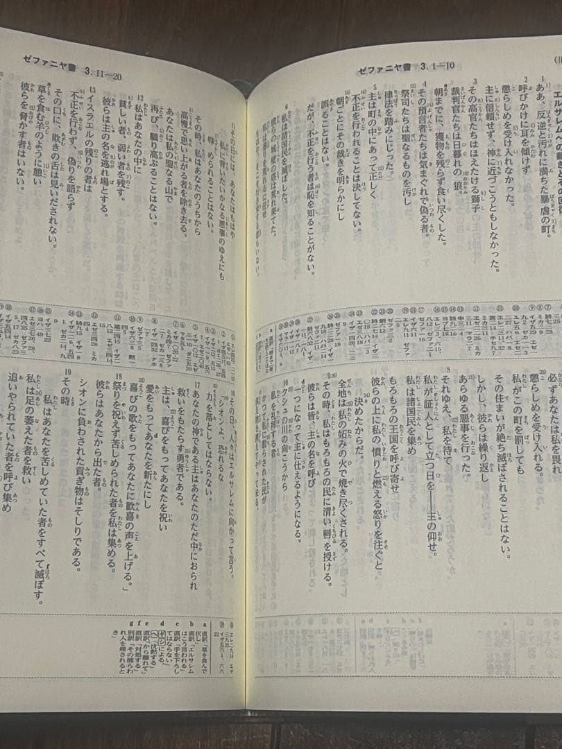 聖書 聖書協会共同訳 旧約聖書続編付き 引照・注付き SIO43DC