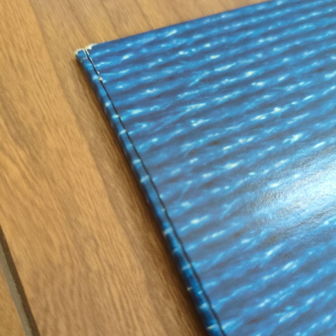 美品 電気グルーヴ VOXXXX アナログ レコード LP