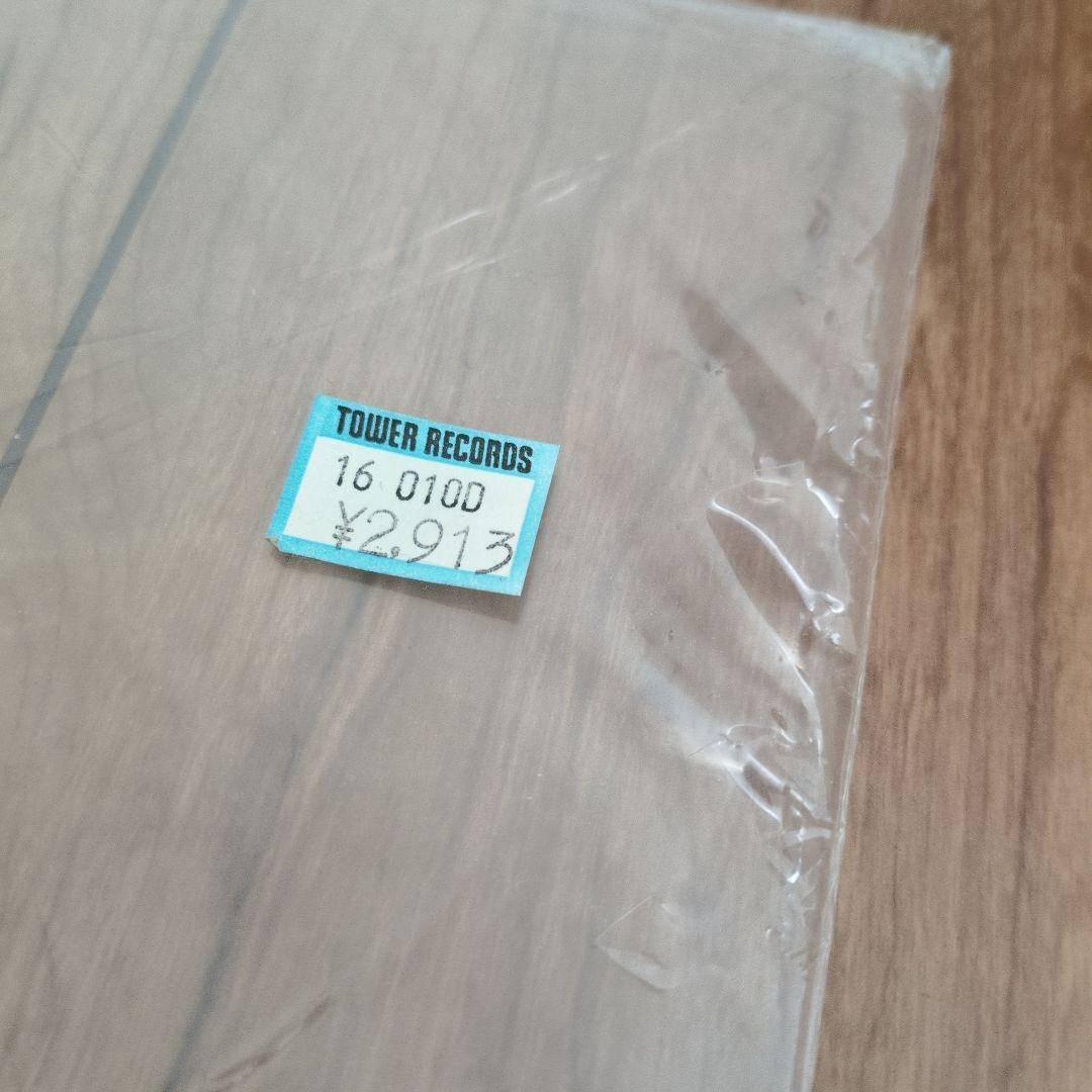 美品 電気グルーヴ VOXXXX アナログ レコード LP