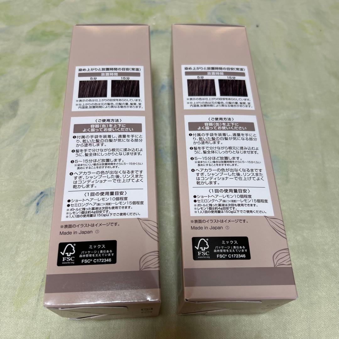 ヘアボーテ エクラ　ボタニカル　エアカラーフォーム　ダークブラウン　2本セット