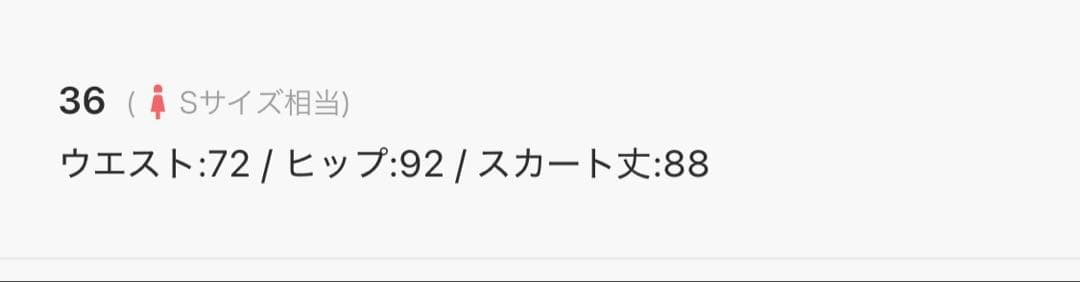tomorrowland ロングスカート　BALLSEY 36