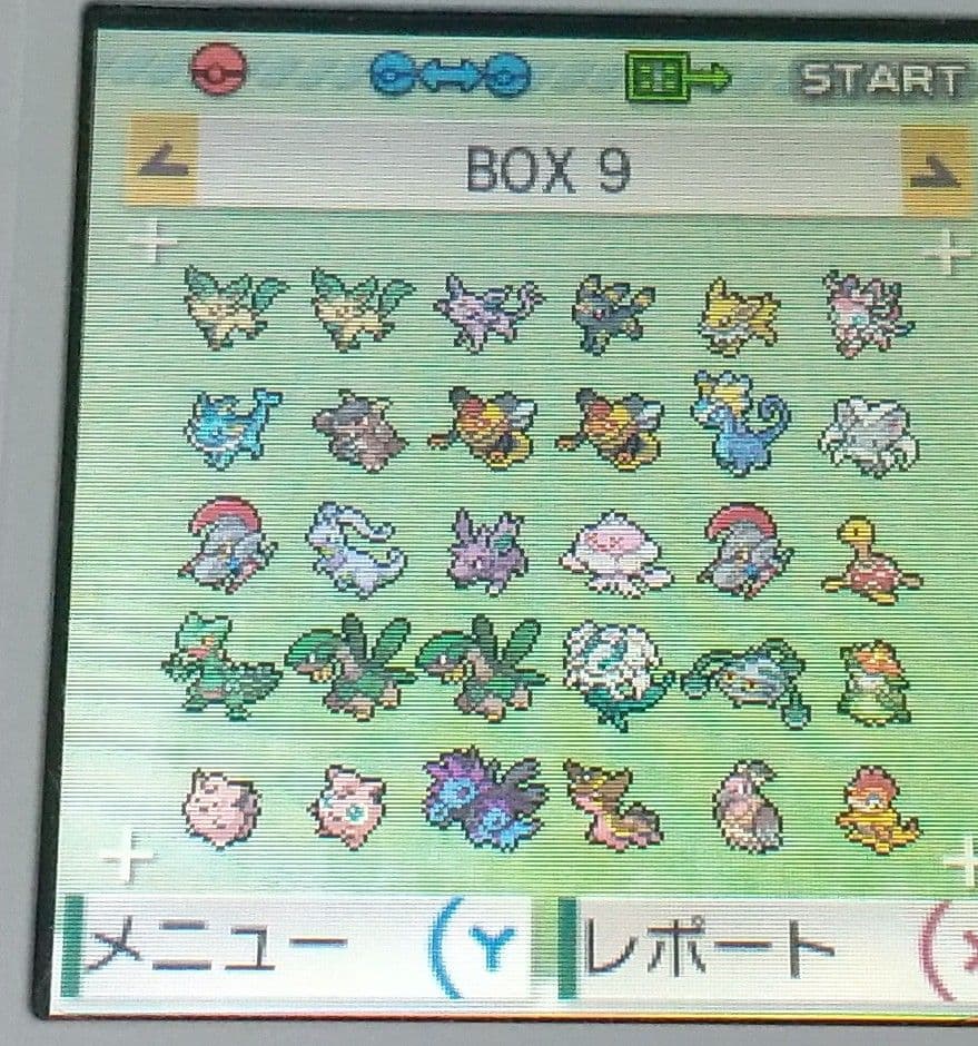 ポケットモンスター アルファサファイア 北米版 ポケモン ORAS ソフトのみ