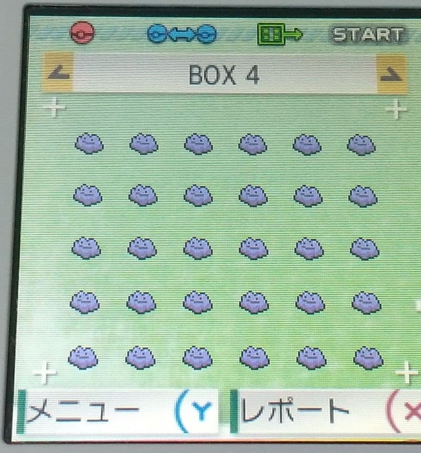 ポケットモンスター アルファサファイア 北米版 ポケモン ORAS ソフトのみ