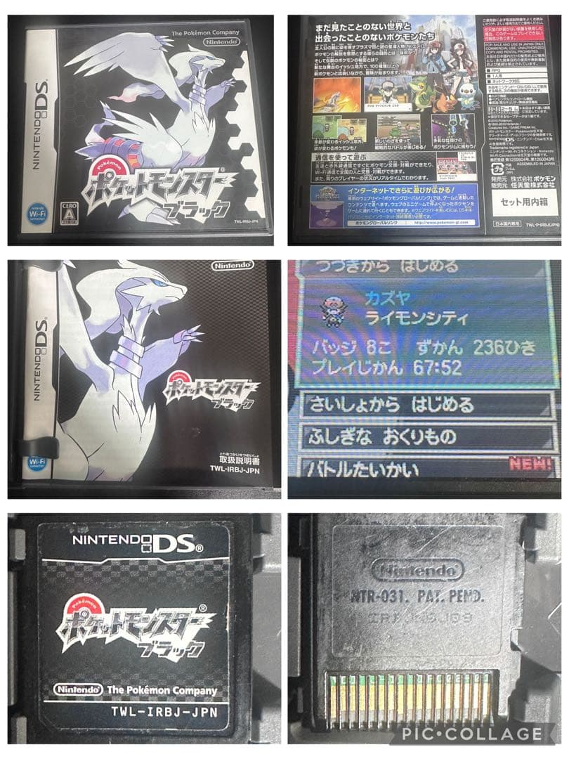 ポケットモンスター DS　3DS　ソフトセット 17本　ケース 説明書あり