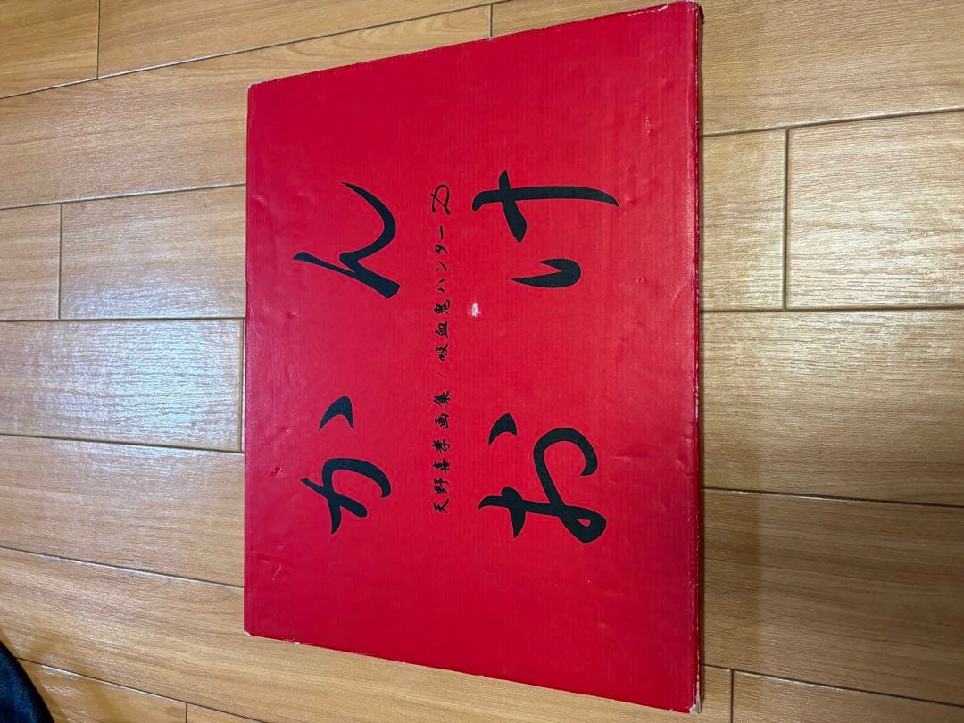 天野喜孝画集 吸血鬼ハンターD かんおけ 朝日パノラマ