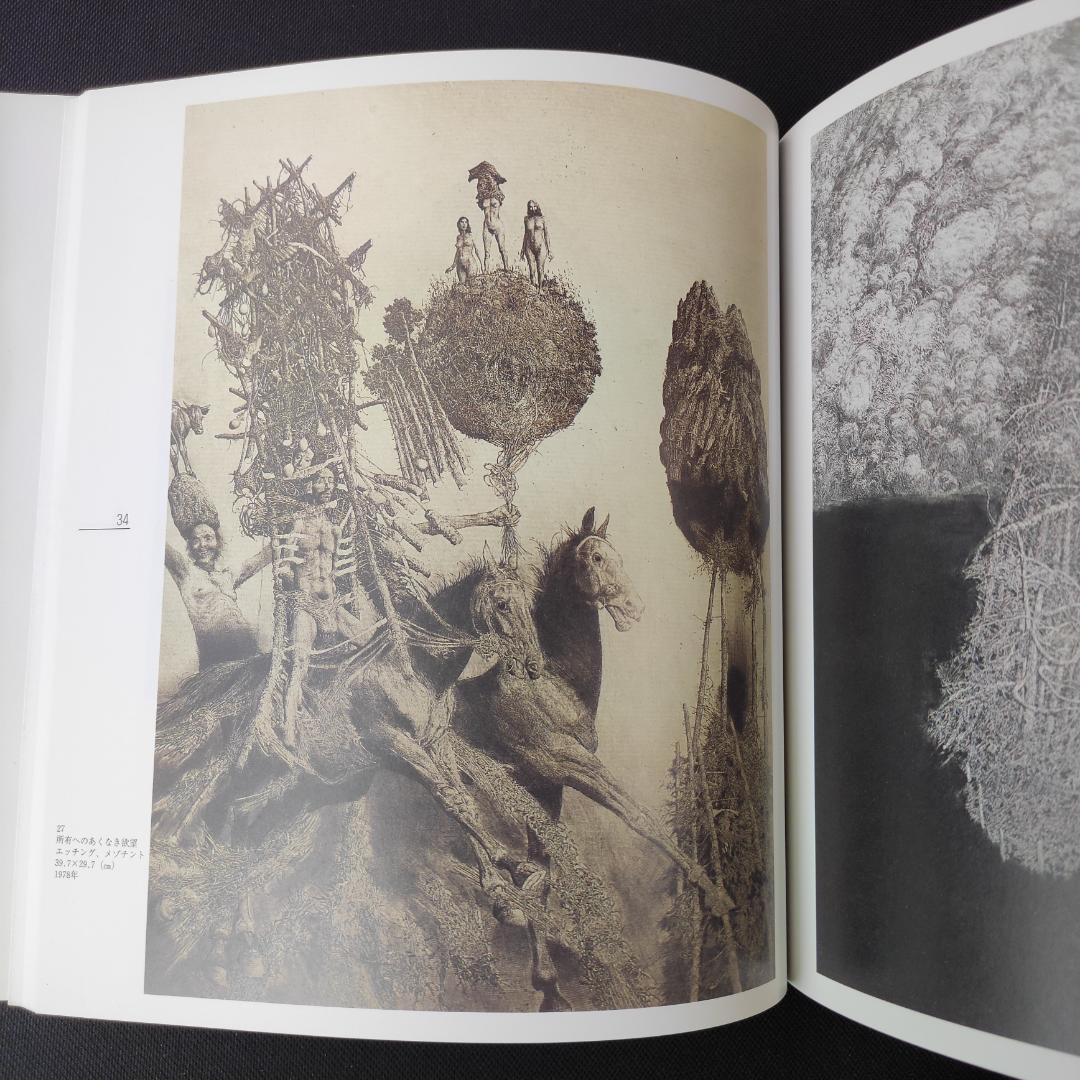アルビン・ブルノフスキ 図録 森ヒロコ・スタシス美術館