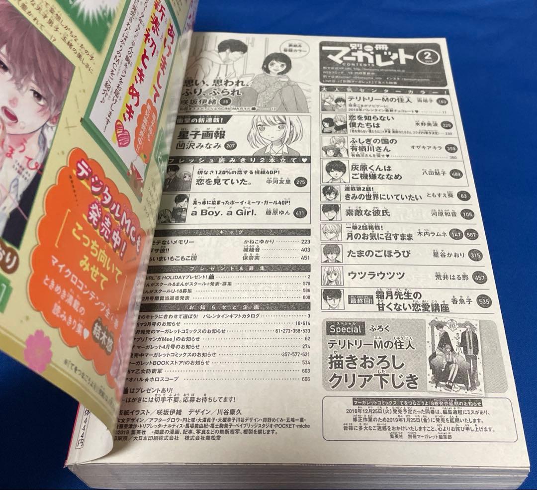 別冊マーガレット2019年2月号 咲坂伊緒