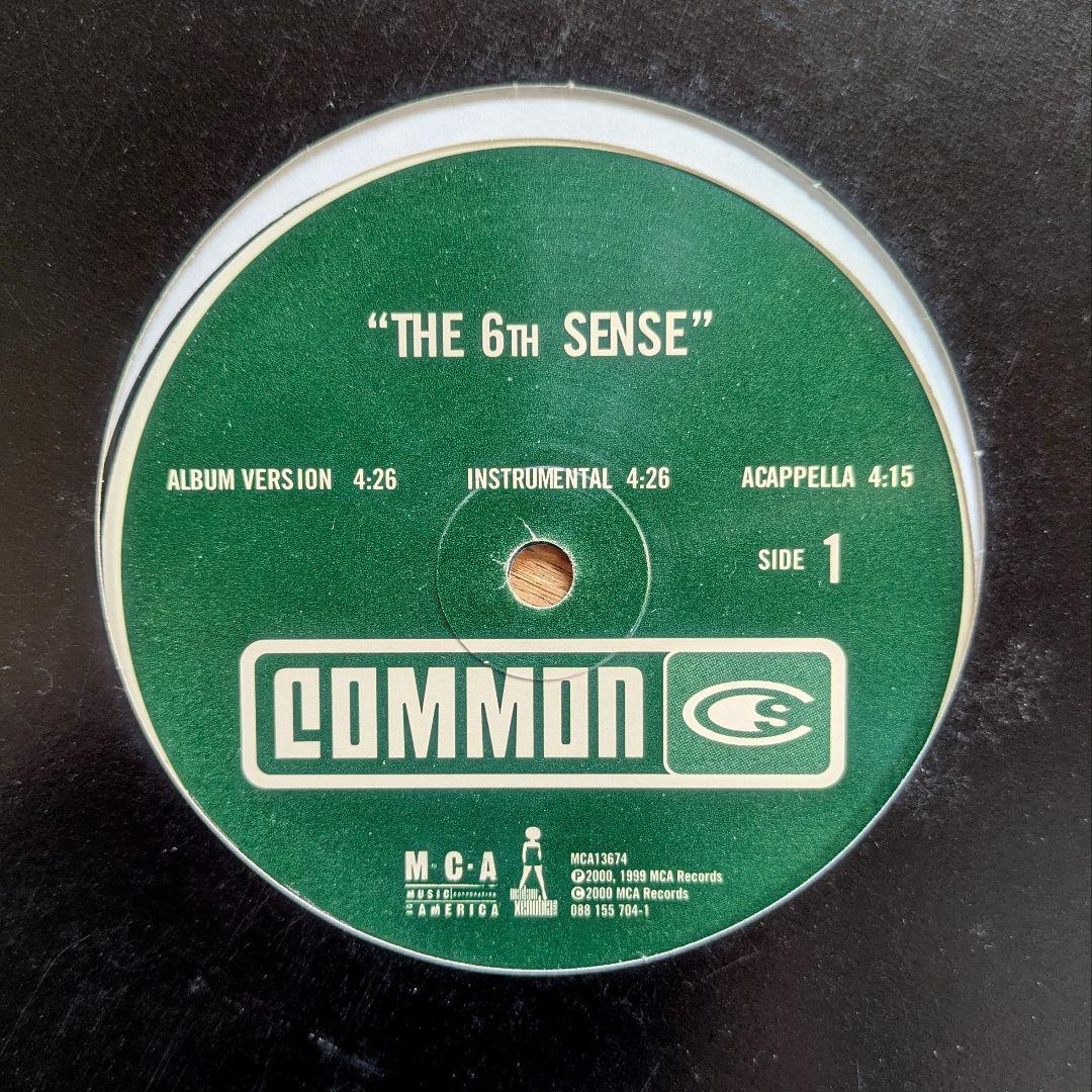 HIPHOP RAP 12インチレコード 12枚セット tribe common