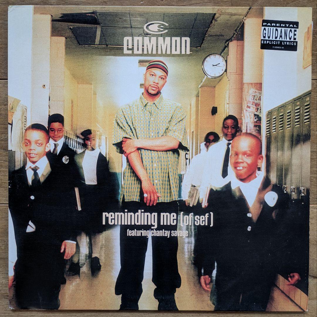 HIPHOP RAP 12インチレコード 12枚セット tribe common