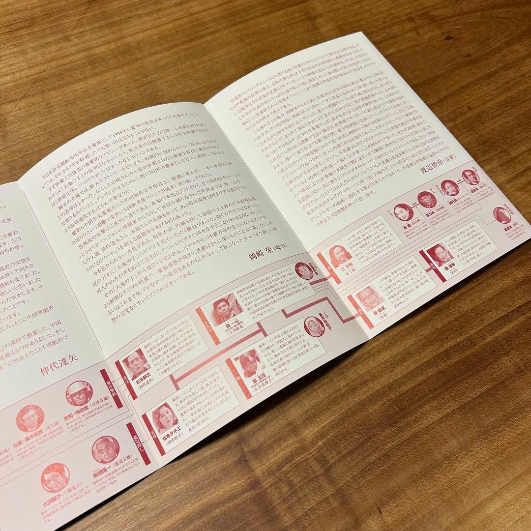 【原作：山崎豊子】大地の子 全集 DVD 6巻セット