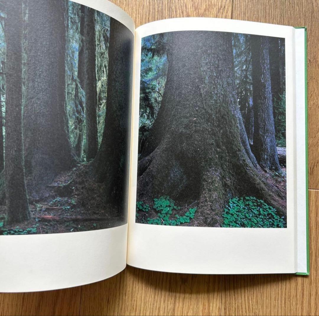 【希少】上田義彦　写真集　YOSHIHIKO　UEDA　PHOTOGRAPHS