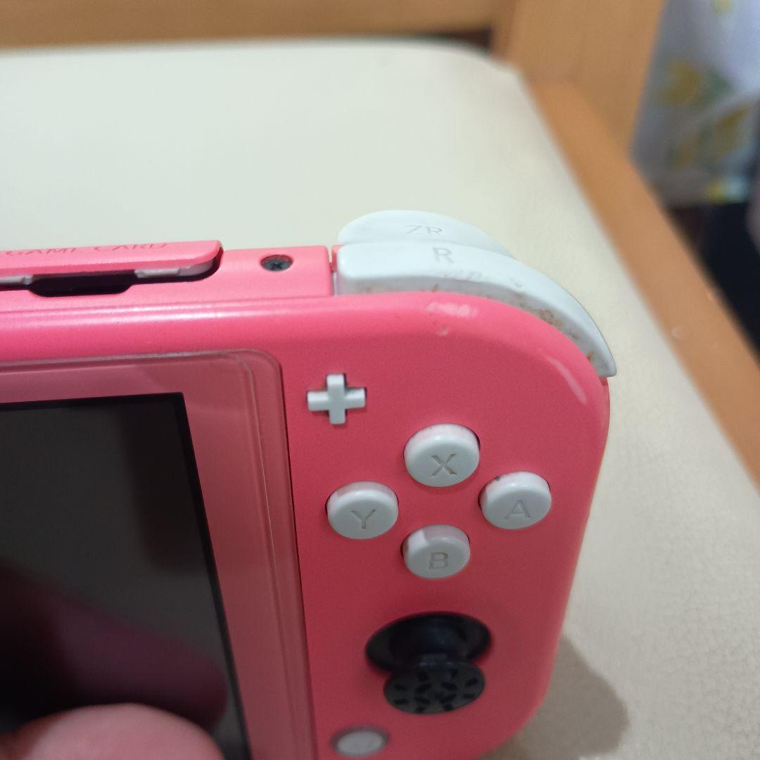 Switchライトジャンク品です