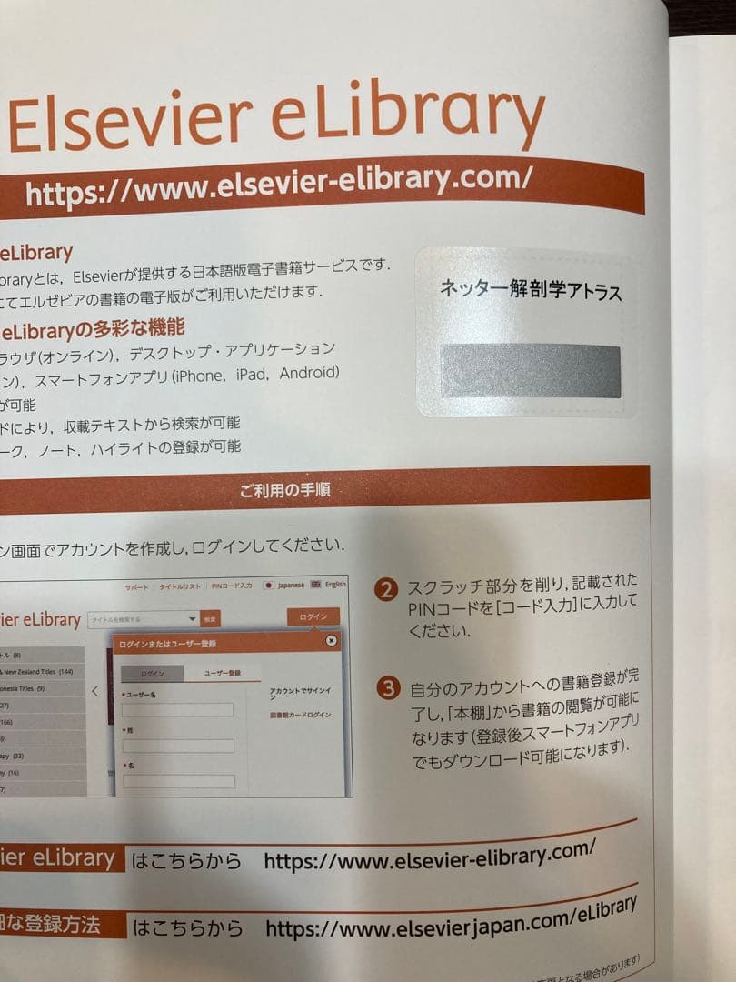 【電子書籍未使用】ネッター 解剖学アトラス（原書第７版）
