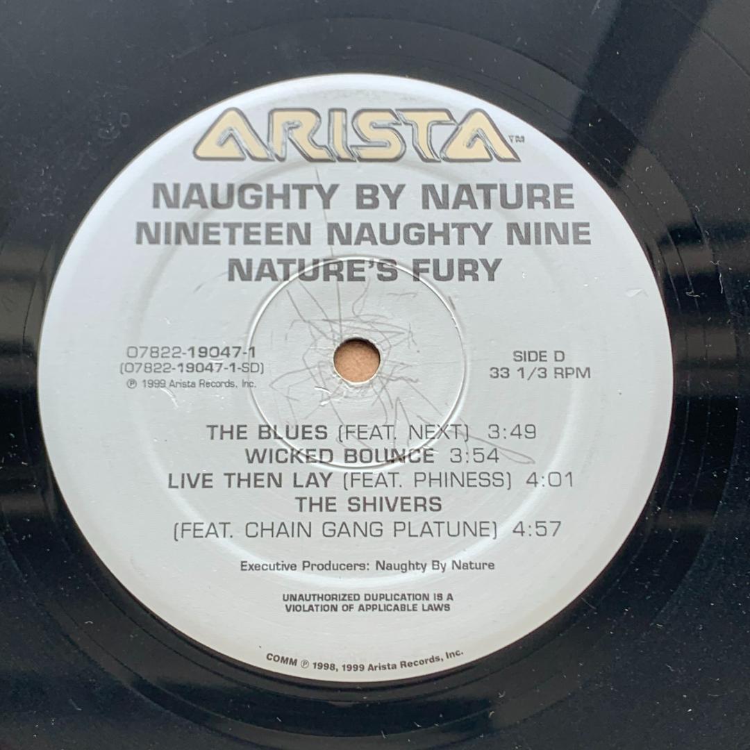 19 Naughty 9 /ノーティ・バイ・ネイチャー：LPレコード 12インチ
