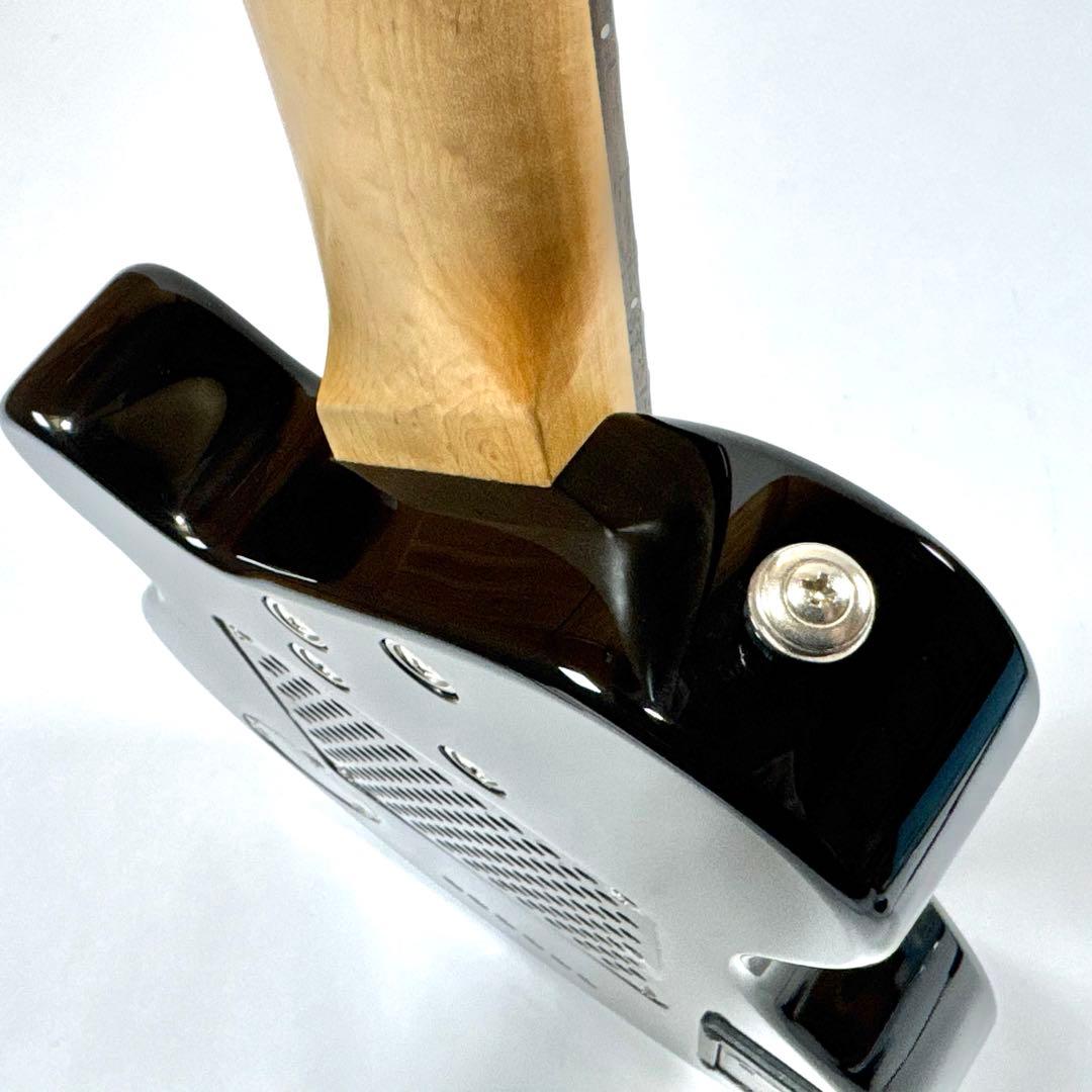 Pignose PGG-200 BS ピグノーズ スピーカー内蔵 エレキギター