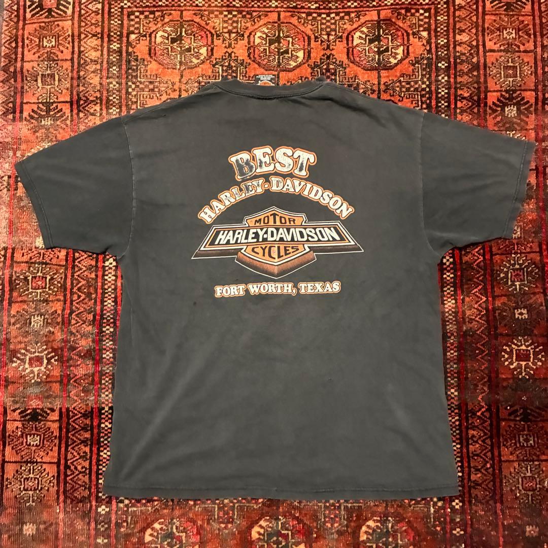 90S USA製 Harley-Davidson フレイム フェード XL