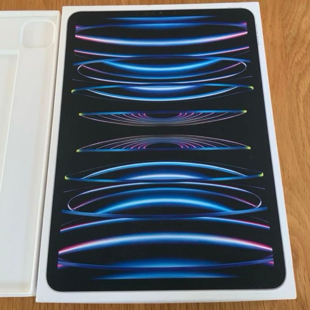 美品 iPad Pro 11インチ（第4世代）Wi-Fi 256GB シルバー