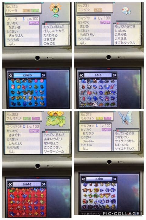 【色違い】ポケットモンスター ホワイト