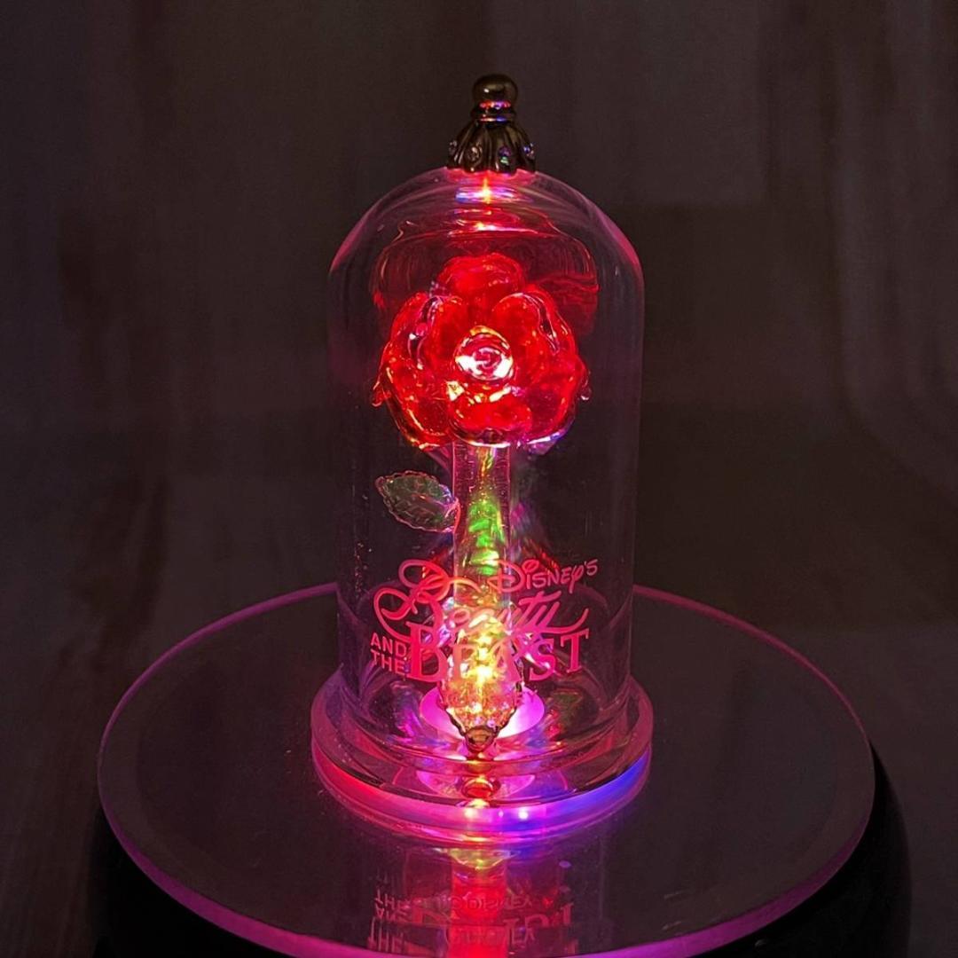 美女と野獣 ガラスの薔薇 バラ ガラスドーム 小 アリバスブラザーズ