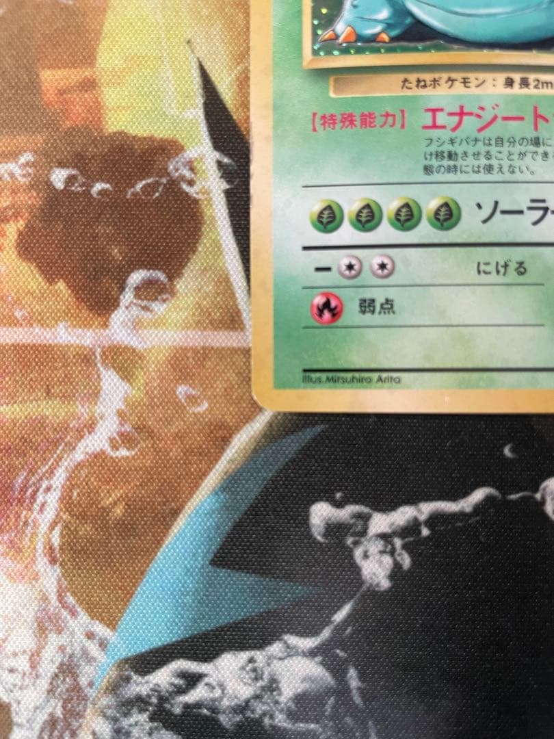 フシギバナ　ミュウツー　 旧裏☆