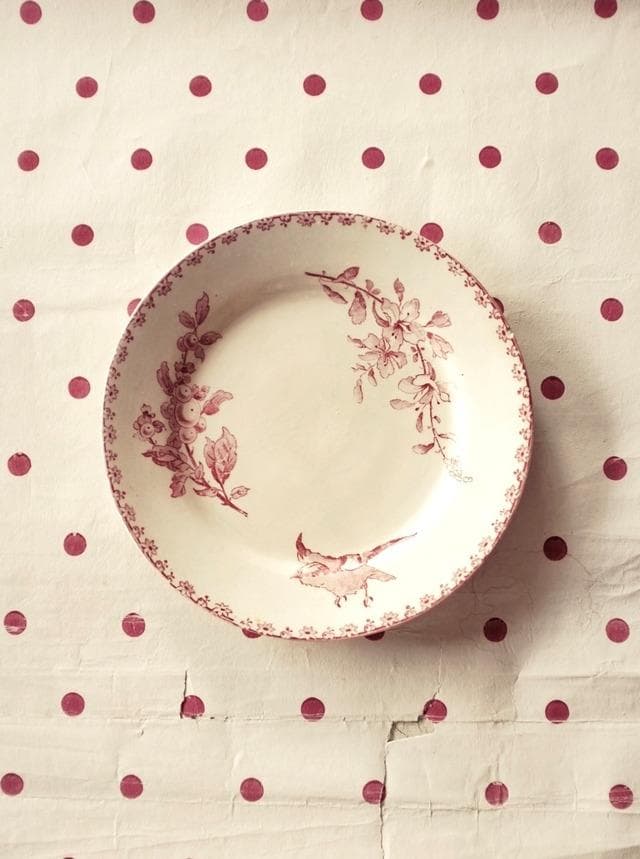 1890s サルグミンヌ 薔薇色の小鳥と実とプレート フランス アンティーク