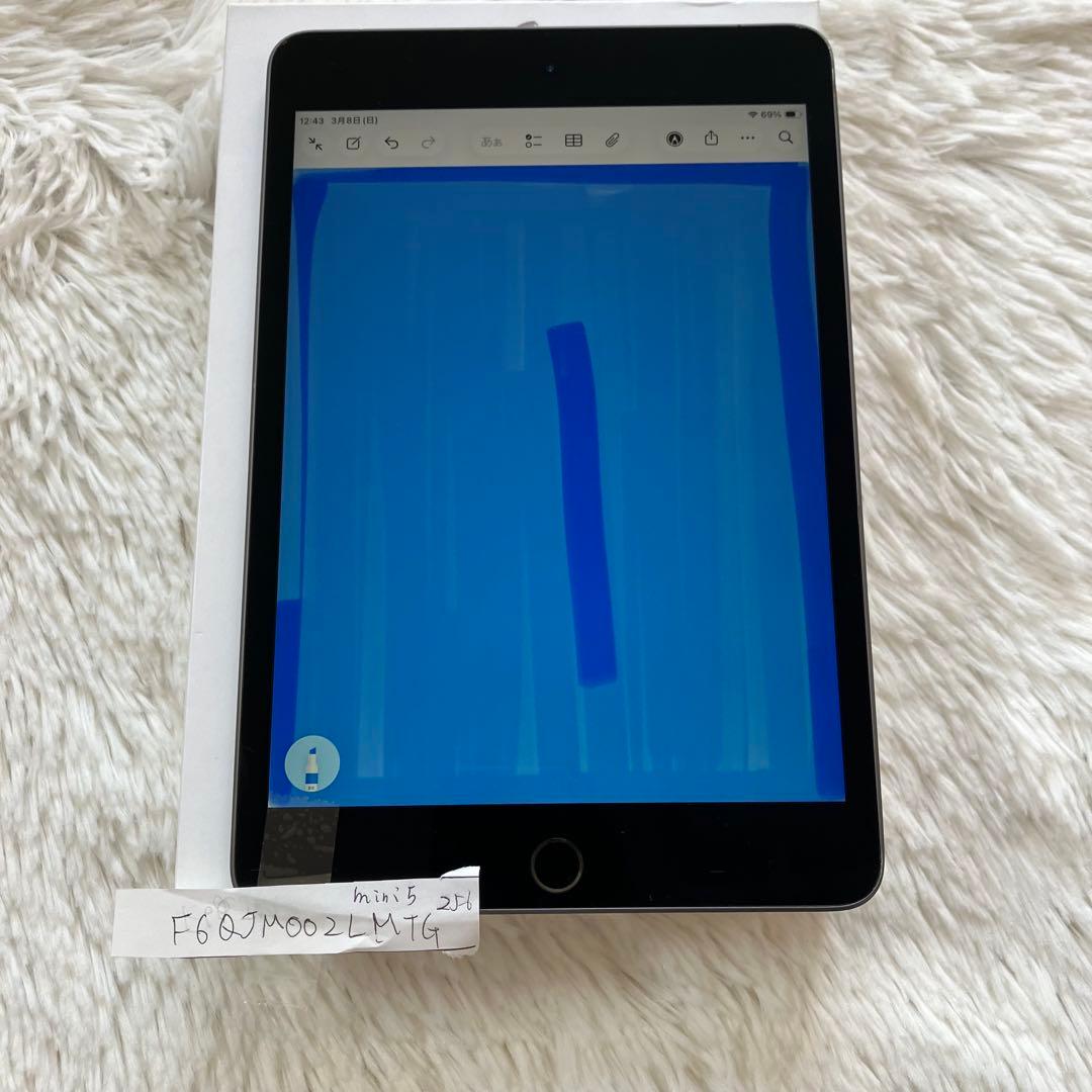 【ラスト1台】iPad mini5 256GB SIMフリー【すぐ発送】